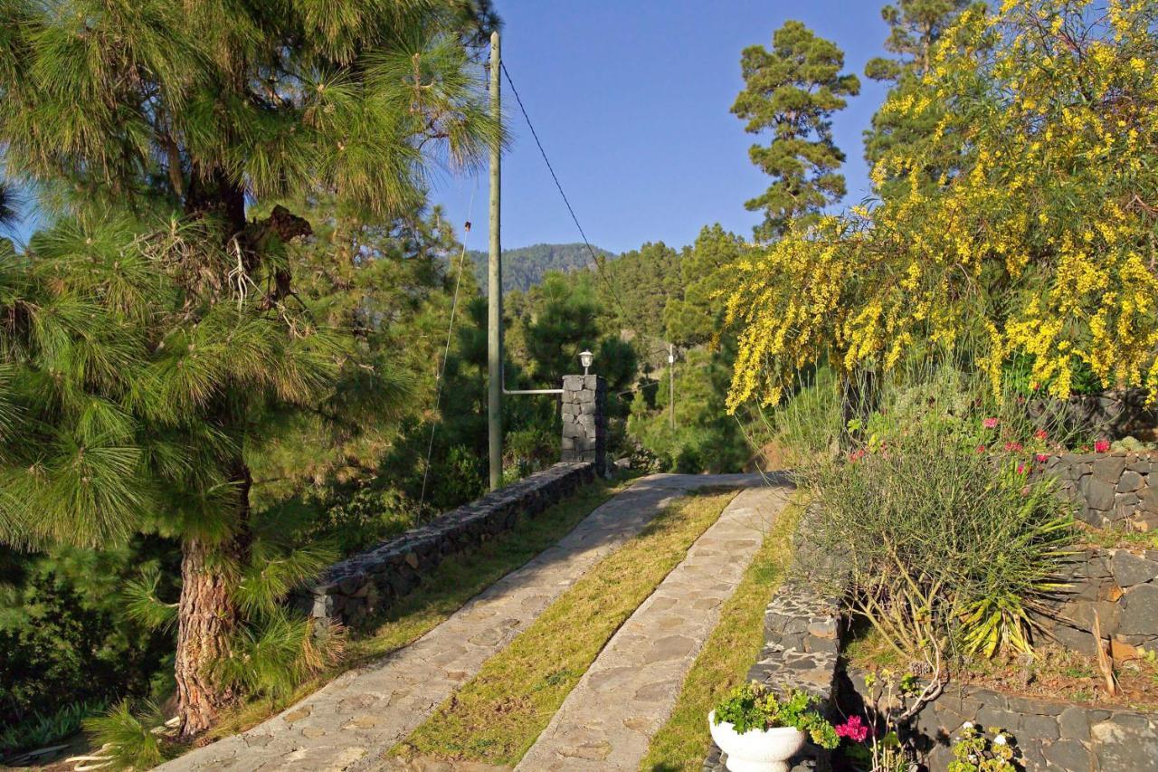 Casa Antonia Villa Tijarafe Exteriör bild